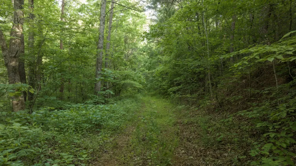 0 County Road 480 Englewood TN 37329