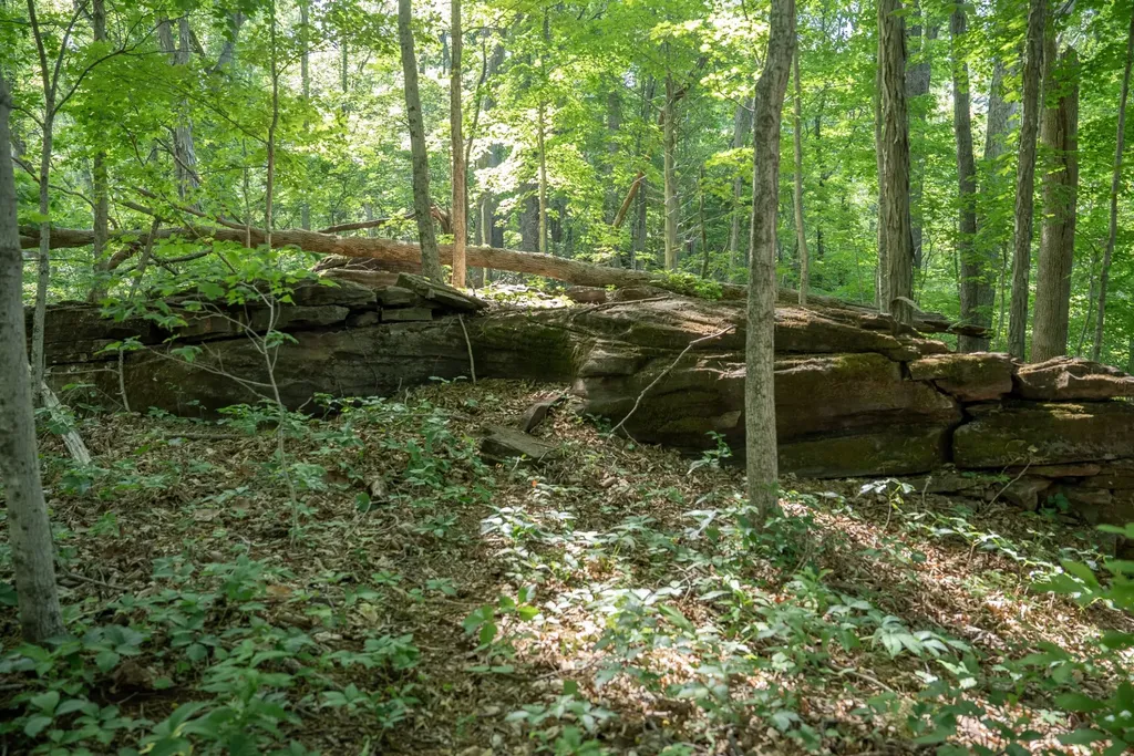0 County Road 480 Englewood TN 37329