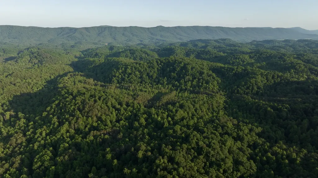 0 County Road 480 Englewood TN 37329