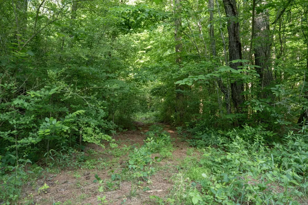 0 County Road 480 Englewood TN 37329
