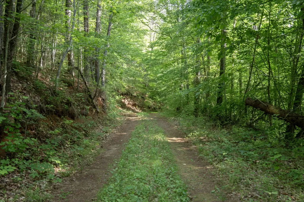 0 County Road 480 Englewood TN 37329