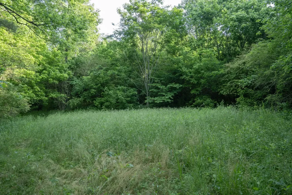 0 County Road 480 Englewood TN 37329