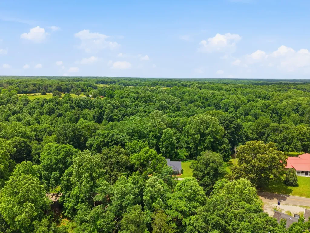 8836 W Sheepneck Road Mount Pleasant TN 38474