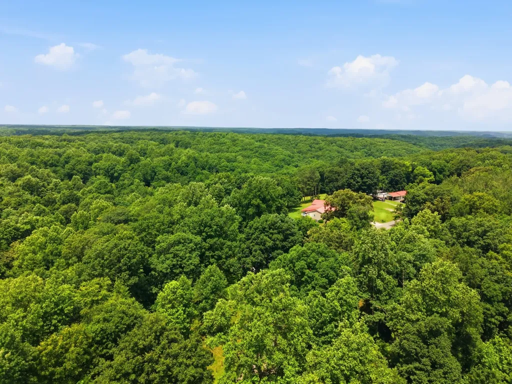 8836 W Sheepneck Road Mount Pleasant TN 38474