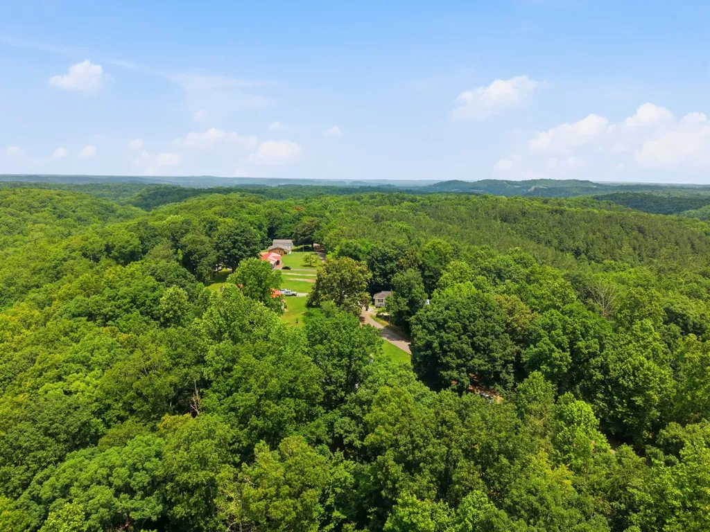 8836 W Sheepneck Road Mount Pleasant TN 38474