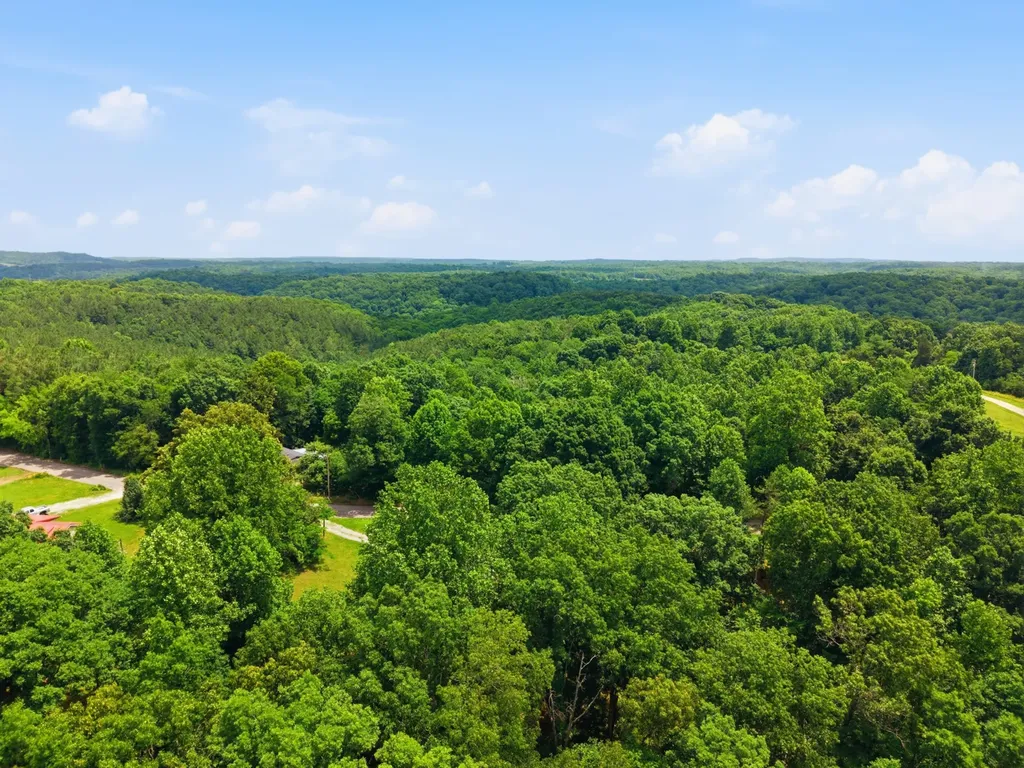 8836 W Sheepneck Road Mount Pleasant TN 38474