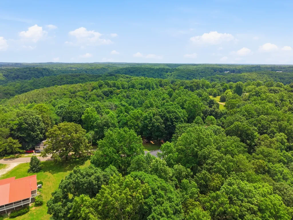 8836 W Sheepneck Road Mount Pleasant TN 38474