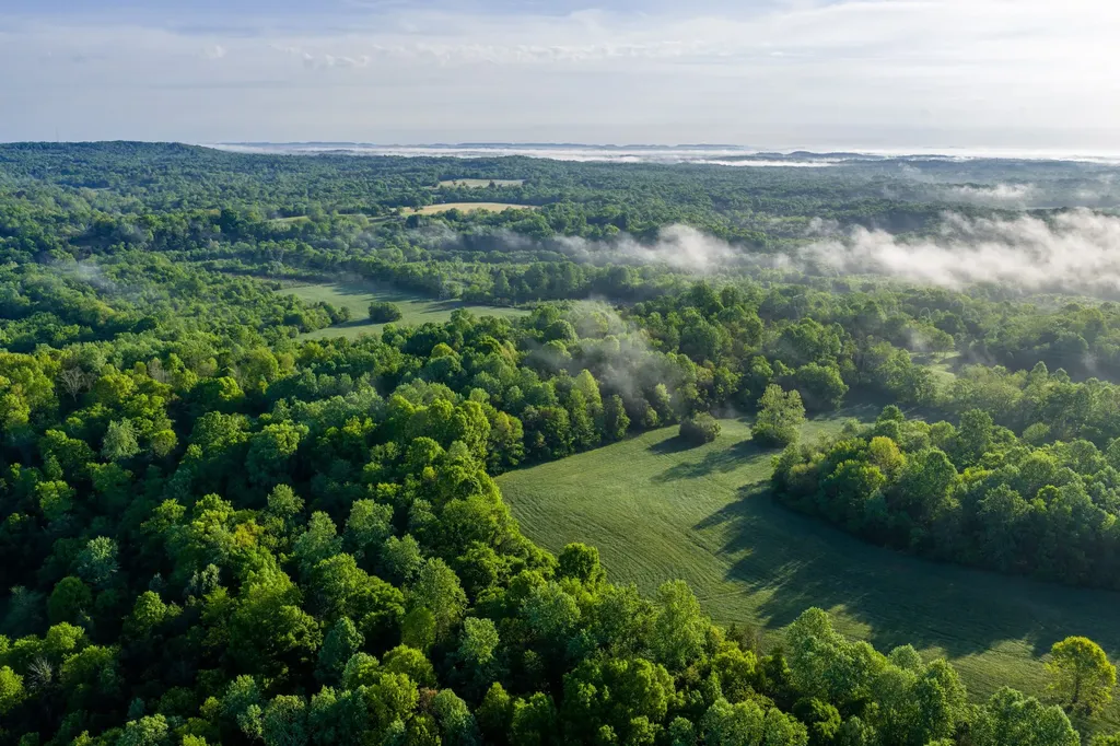 1647 Groveland Ridge Road Columbia TN 38401