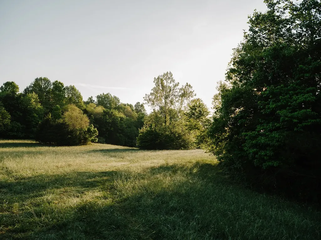 1647 Groveland Ridge Road Columbia TN 38401
