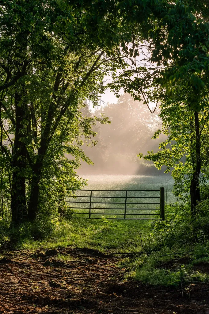 1647 Groveland Ridge Road Columbia TN 38401