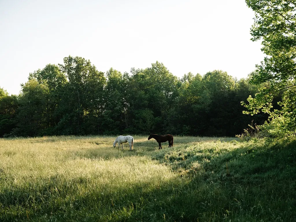 1647 Groveland Ridge Road Columbia TN 38401