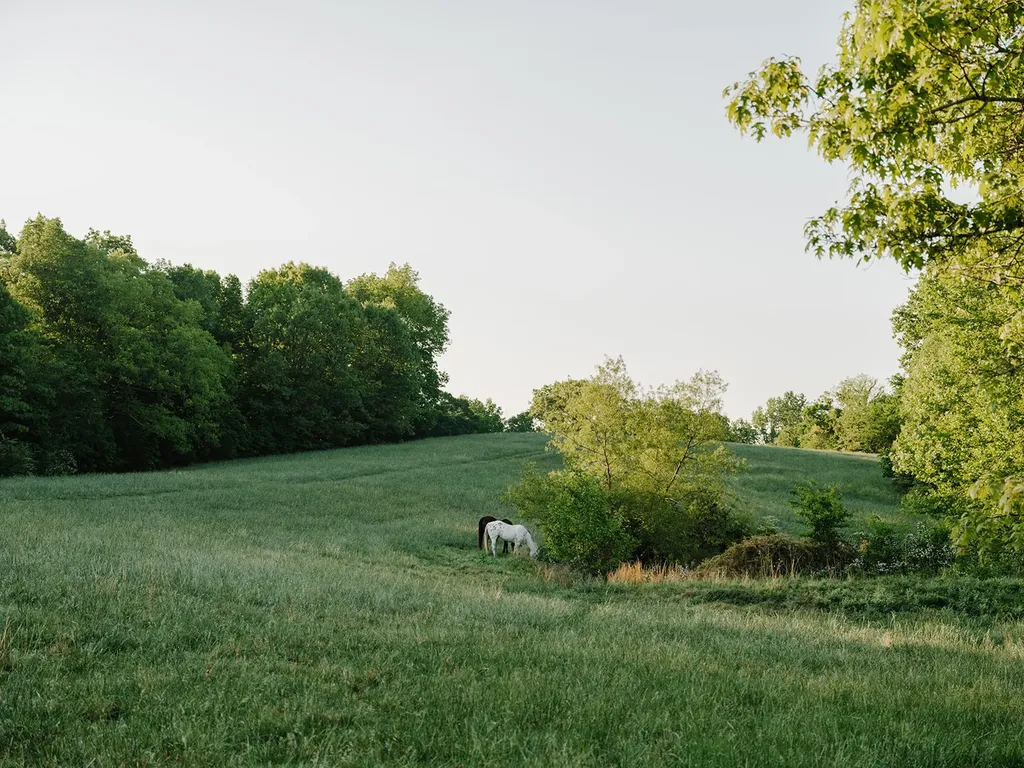 1647 Groveland Ridge Road Columbia TN 38401