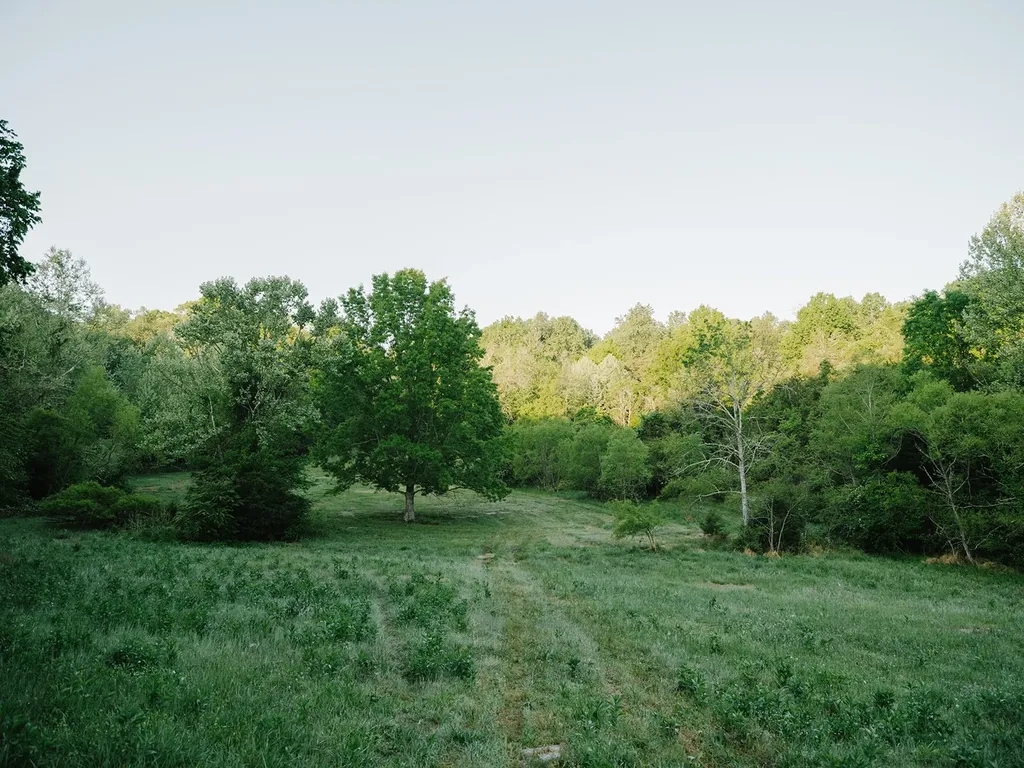 1647 Groveland Ridge Road Columbia TN 38401