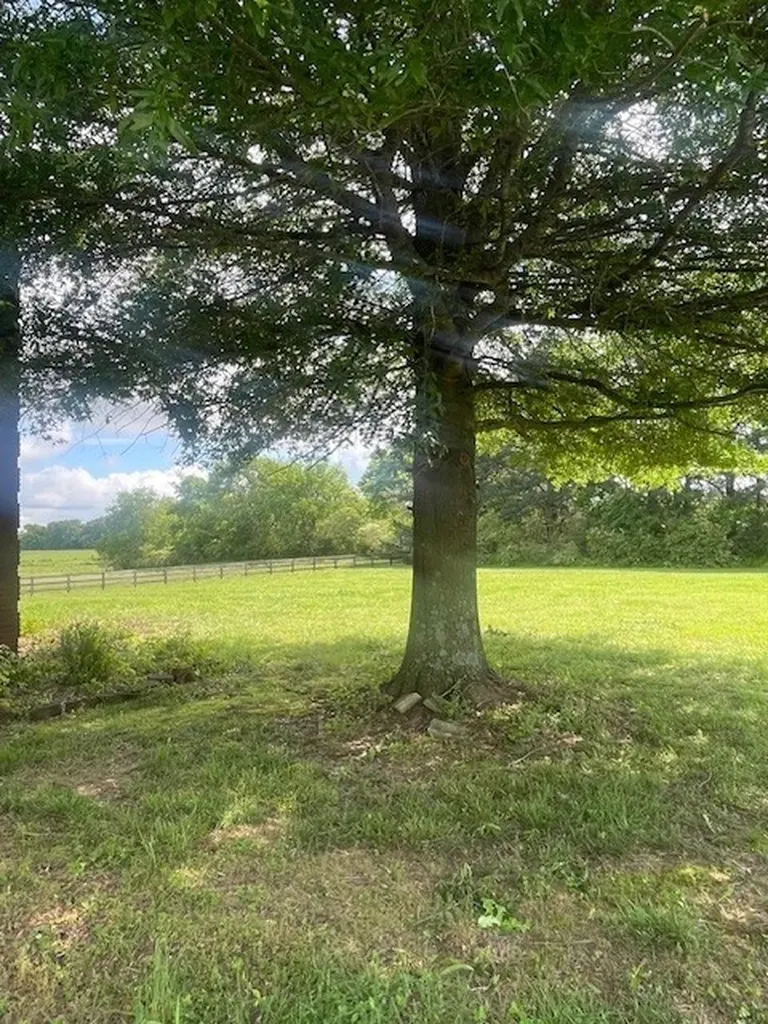 33 Bishop Road Lawrenceburg TN 38464