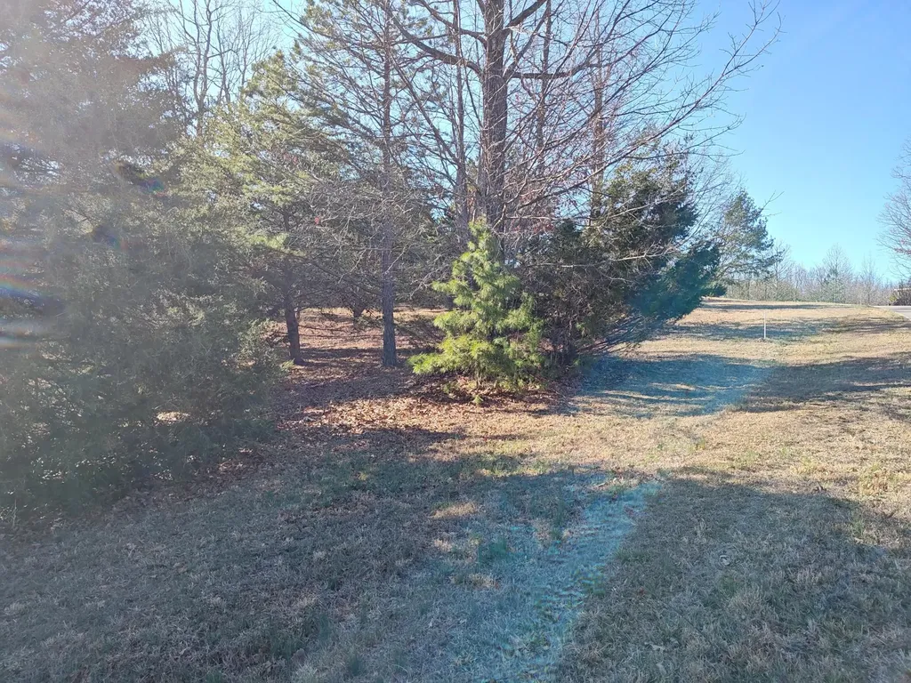 0 Skyhigh Trail Dunlap TN 37327