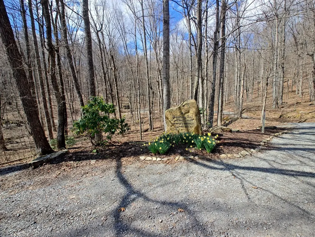 0 Skyhigh Trail Dunlap TN 37327