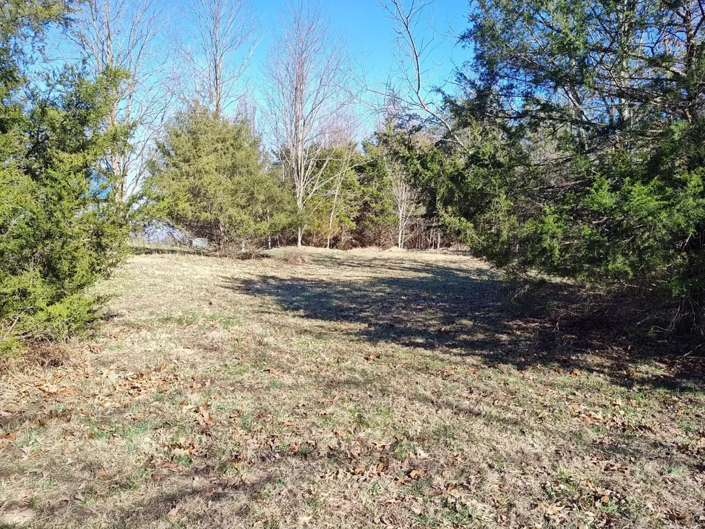 0 Skyhigh Trail Dunlap TN 37327