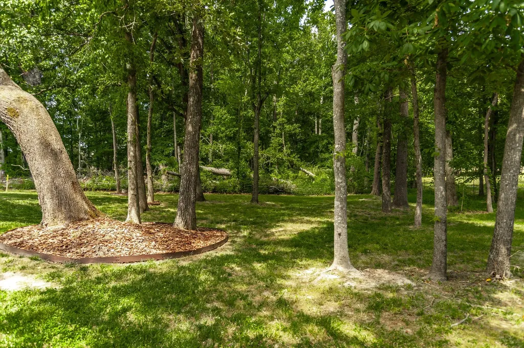 135 Bloomsbury Drive Portland TN 37148