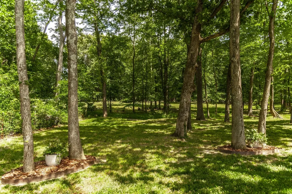135 Bloomsbury Drive Portland TN 37148