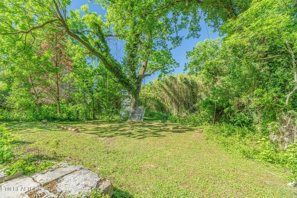 419 W Rockwood Street Rockwood TN 37854
