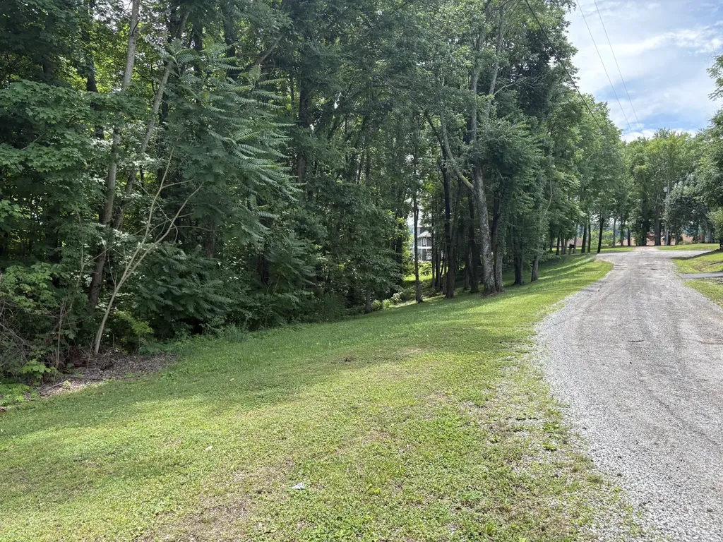 0 Lafever Ridge Road Silver Point TN 38582