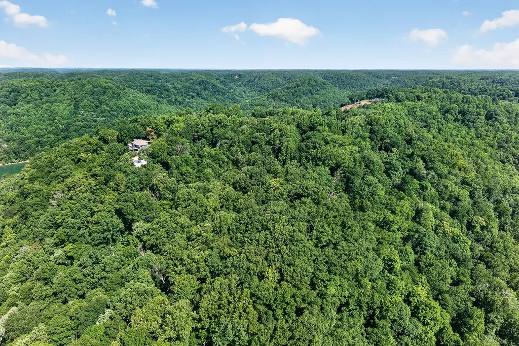 0 Lafever Ridge Road Silver Point TN 38582