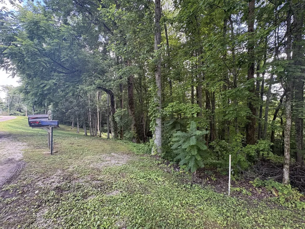 0 Lafever Ridge Road Silver Point TN 38582