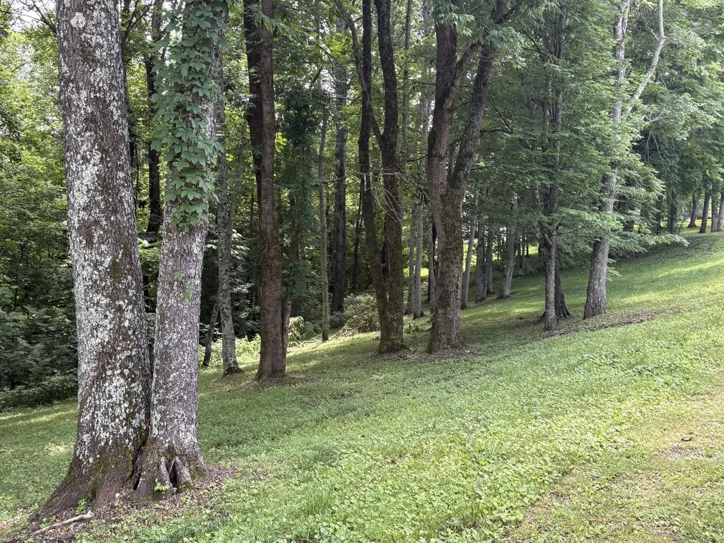 0 Lafever Ridge Road Silver Point TN 38582