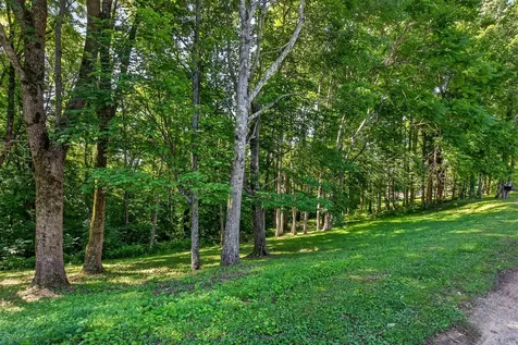 0 Lafever Ridge Road Silver Point TN 38582