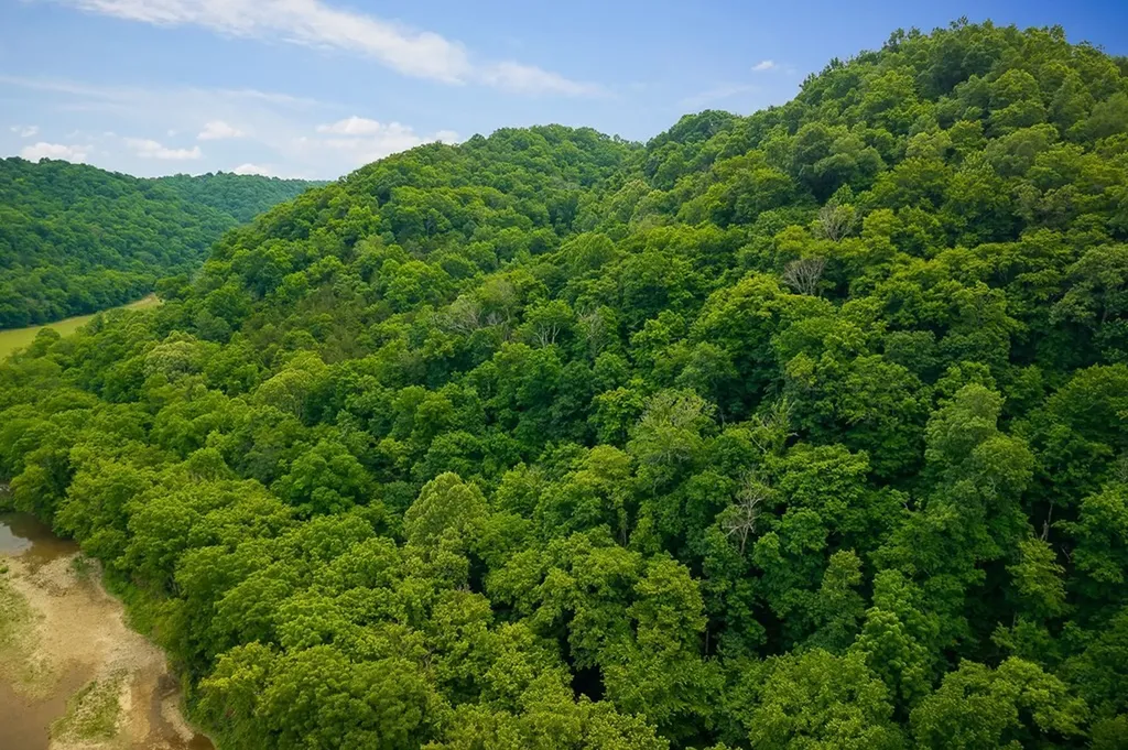0 Spring Creek Road Cookeville TN 38501