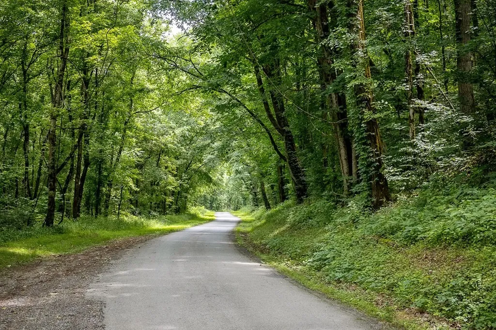 0 Spring Creek Road Cookeville TN 38501