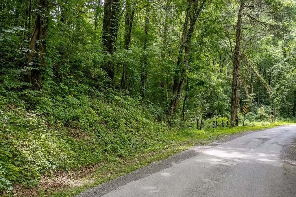 0 Spring Creek Road Cookeville TN 38501