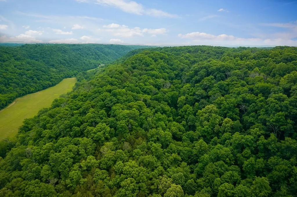 0 Spring Creek Road Cookeville TN 38501