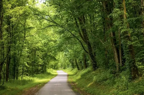 0 Spring Creek Road Cookeville TN 38501