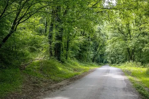0 Spring Creek Road Cookeville TN 38501