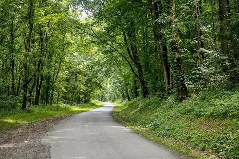 0 Spring Creek Road Cookeville TN 38501
