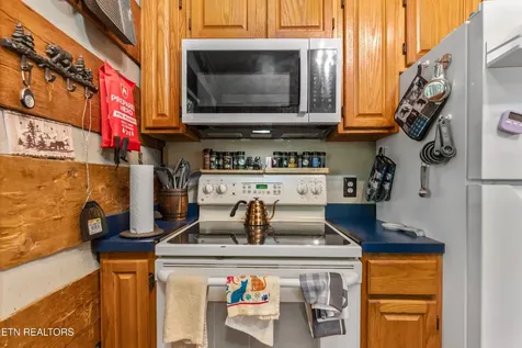 3040 Patty View Way Pigeon Forge TN 37862
