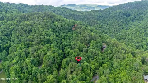 3040 Patty View Way Pigeon Forge TN 37862