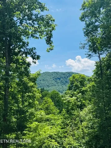 3040 Patty View Way Pigeon Forge TN 37862