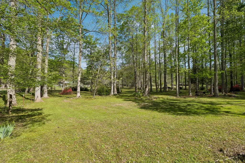 1532 Turkey Creek Road Tellico Plains TN 37385