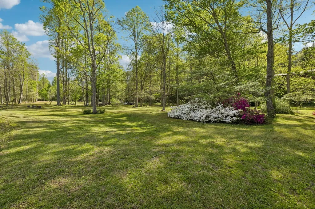 1532 Turkey Creek Road Tellico Plains TN 37385
