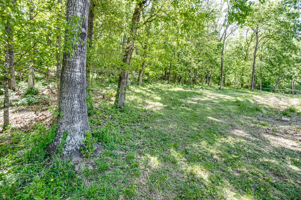 4141 Creek Trail Drive Whites Creek TN 37189