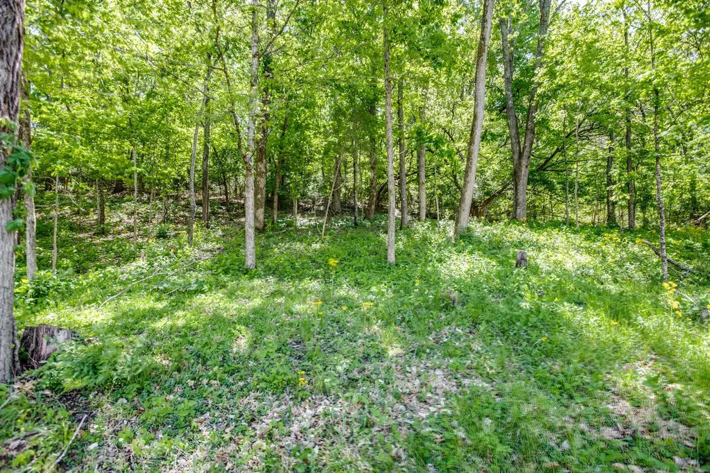 4141 Creek Trail Drive Whites Creek TN 37189