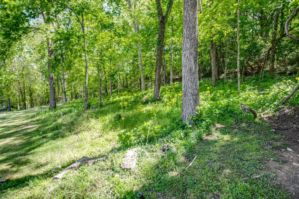 4141 Creek Trail Drive Whites Creek TN 37189