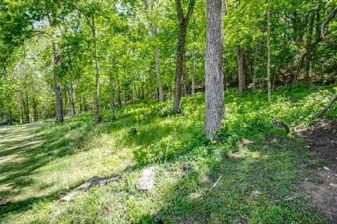 4141 Creek Trail Drive Whites Creek TN 37189