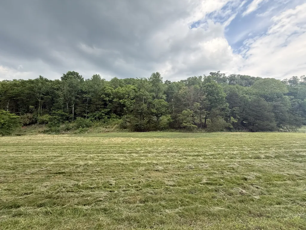 0 Hurricane Branch Lane Gainesboro TN 38562