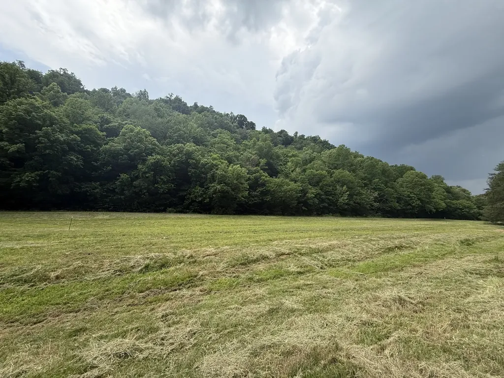 0 Hurricane Branch Lane Gainesboro TN 38562