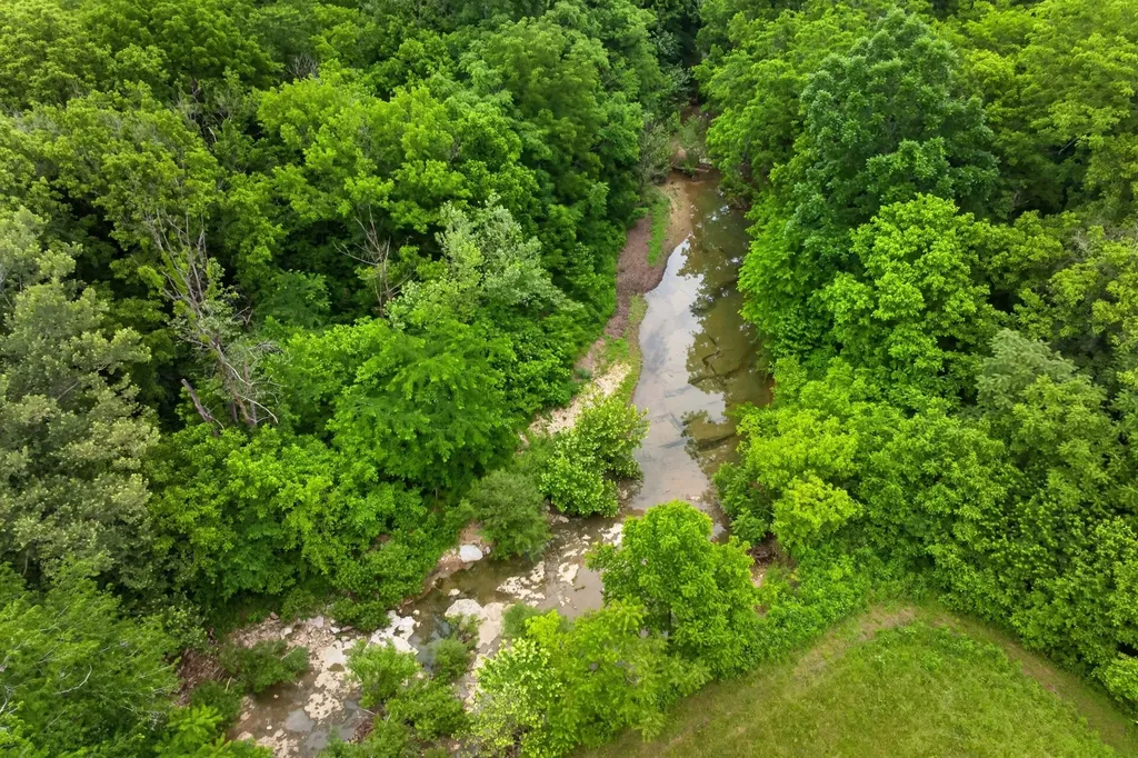 8029 Brimstone Creek Road Whitleyville TN 38588