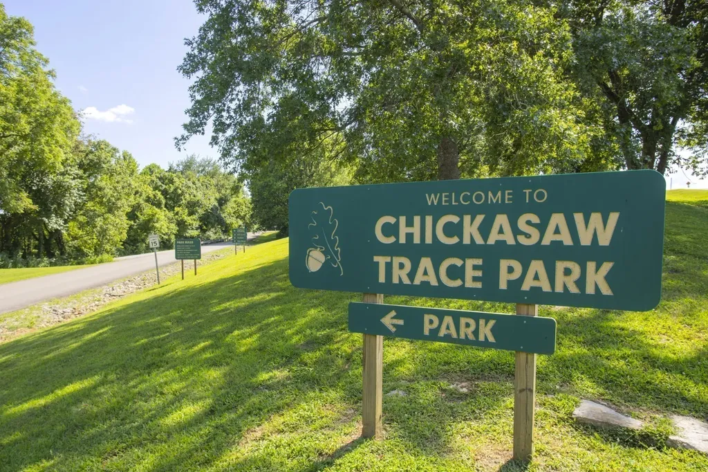 1556 Oak Springs Drive Columbia TN 38401