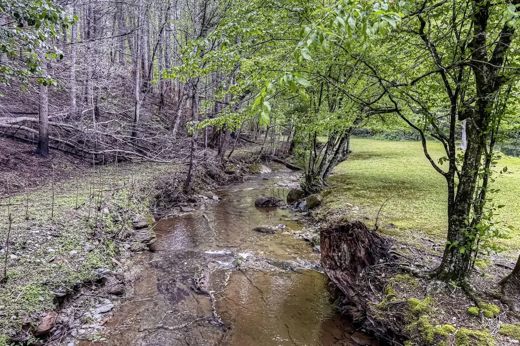 480 Holder Cemetery Road Tellico Plains TN 37385